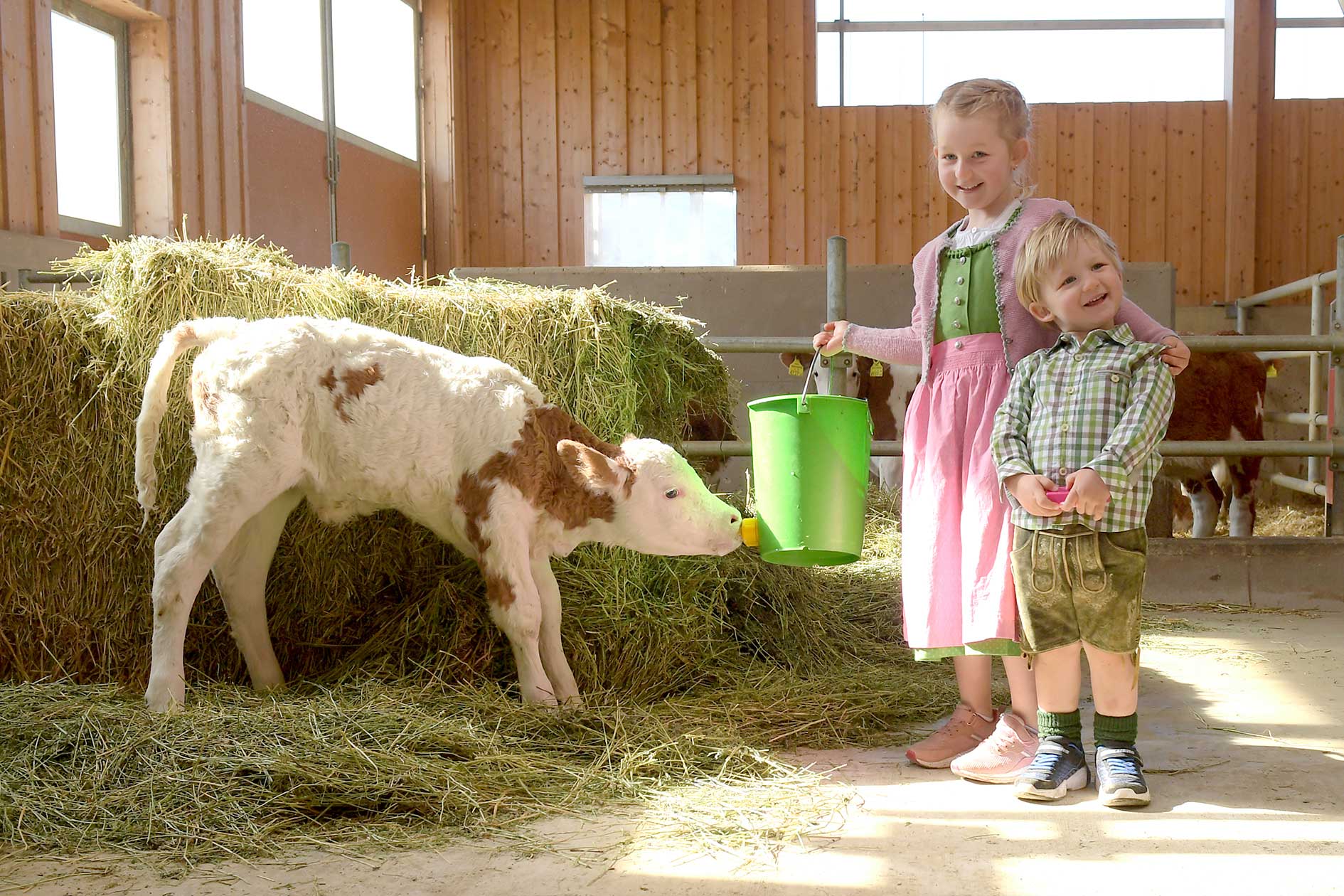 Kalb mit Kindern