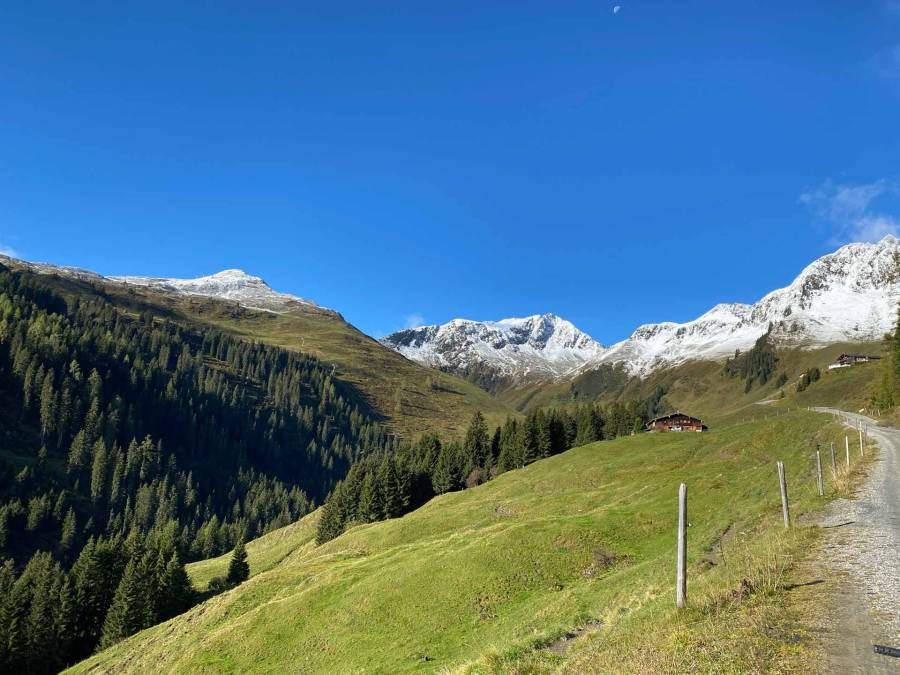 Bergpanorama Auhofalm