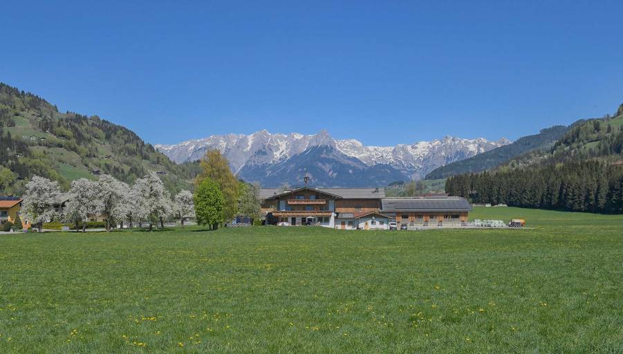 Bio-Bauernhof